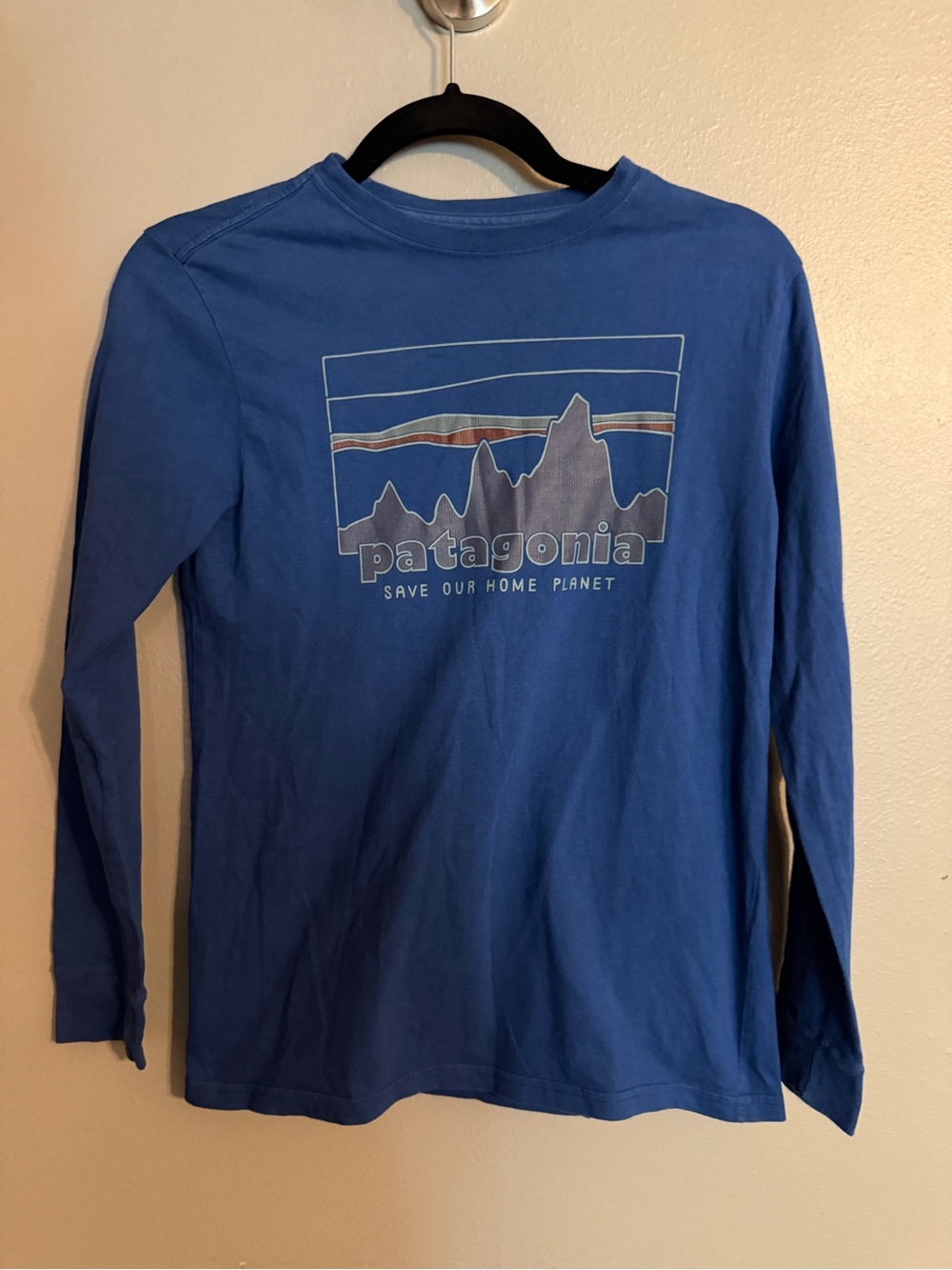 Patagonia Blue Long Sleeve Tee with Mountain Graphic